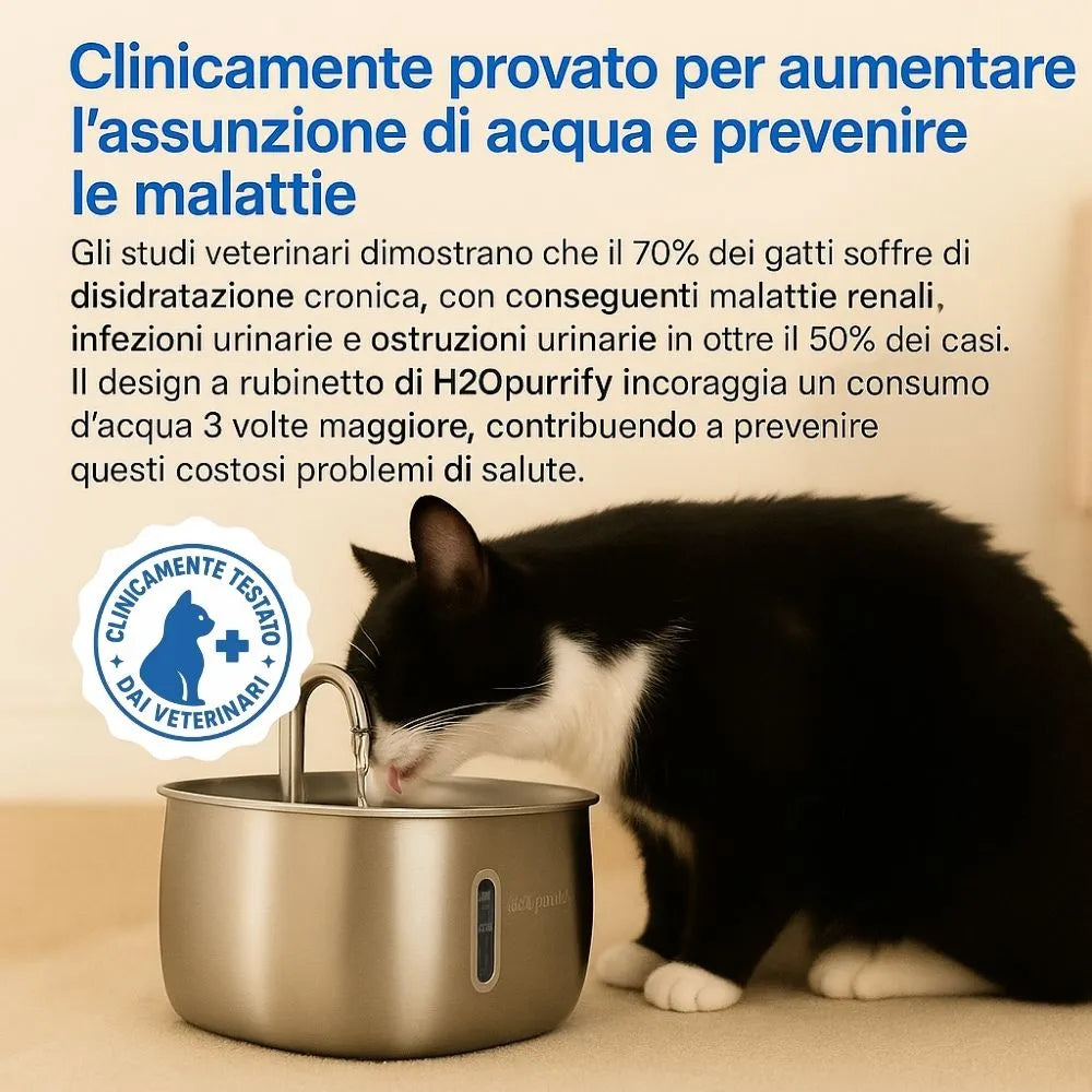 Fontanella H2Opurrify in Acciaio Inossidabile