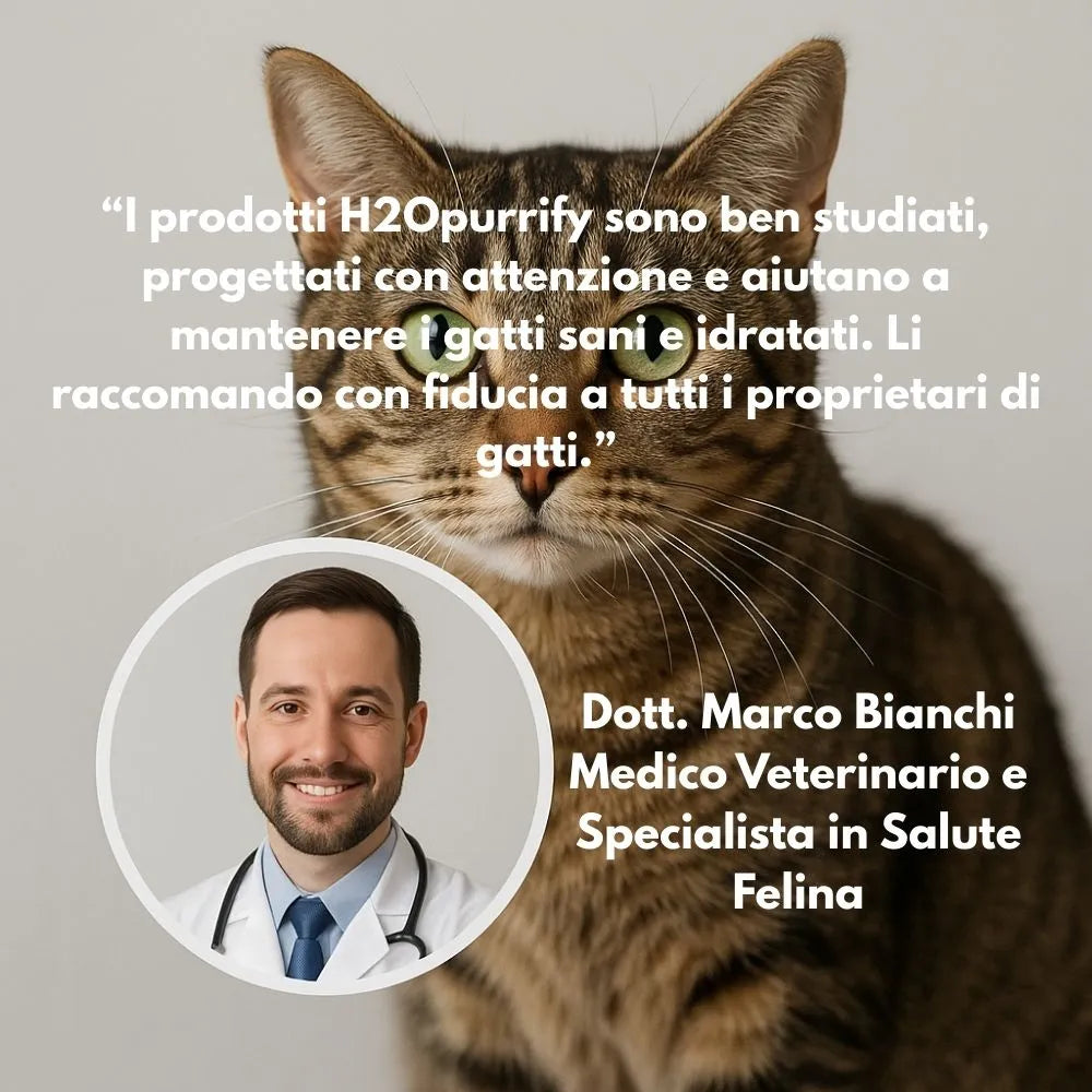 Fontanella H2Opurrify in Acciaio Inossidabile