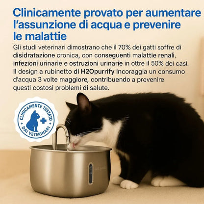 Fontanella H2Opurrify in Acciaio Inossidabile